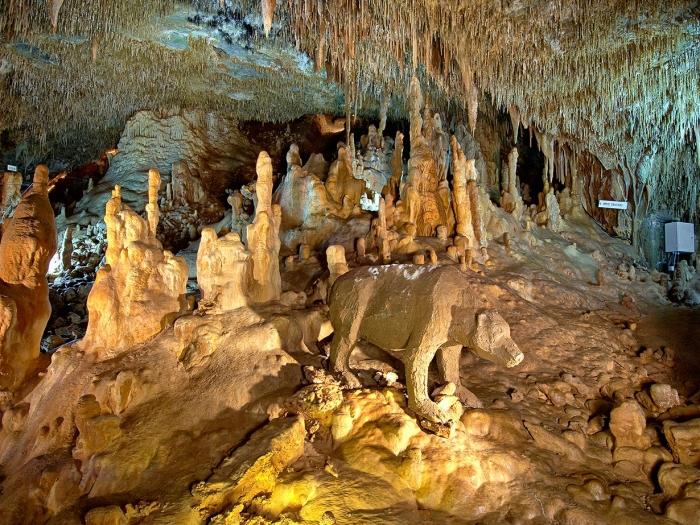 Пећина Петралона